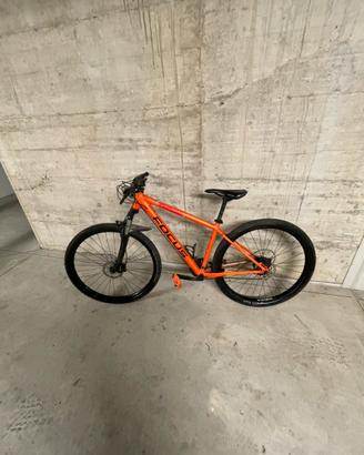 Focus mtb