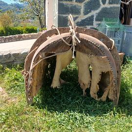 varda per asino,pony cavallo