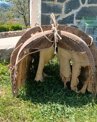 varda per asino,pony cavallo