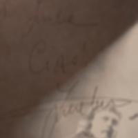 zucchero Sugar fornaciari