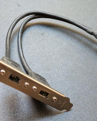 Pannello posteriore PC FireWire IEEE 1394 2 Porte