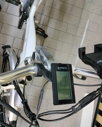 Bici italwin