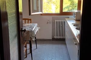 Camera singola 600euro tutto incluso