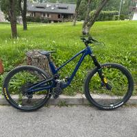 Forbidden druid 2022