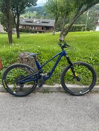 Forbidden druid 2022