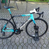 Specialissima Cv tg 55