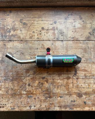 Silenziatore BUD Racing 2 tempi 125/250 carbon