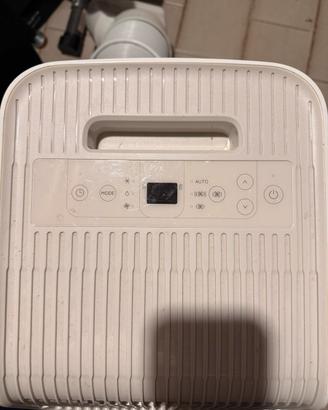 Pinguino Delonghi Compact Condizionatore