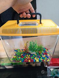 aquario