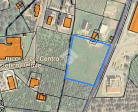 TER. AGRICOLO A CORIGLIANO-ROSSANO