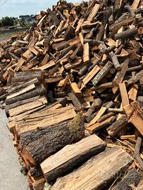 Legna secca di bosco