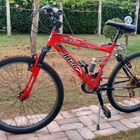 bicicletta bambini 