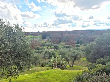 C.da Palmone, terreno edificabile di 5.127 mq