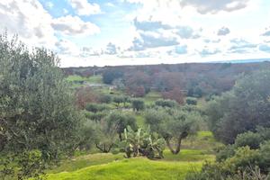 C.da Palmone, terreno edificabile di 5.127 mq