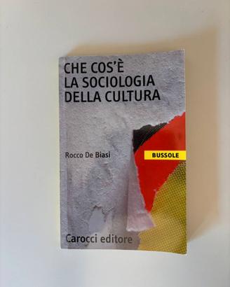 Che cos'è la sociologia della cultura