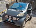 smart-600-passion