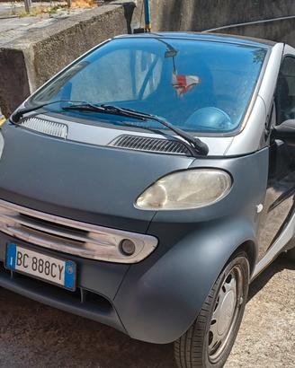 Smart 600 & passion