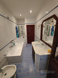 Villetta bifamiliare