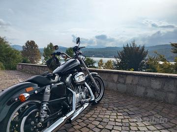 sportster 883 superlow