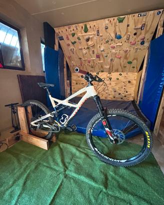 Specialized enduro carbon-tg L