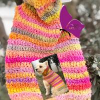 Abbigliamento per cani e gatti