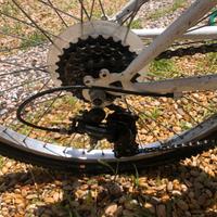 Mtb 24” revisionata