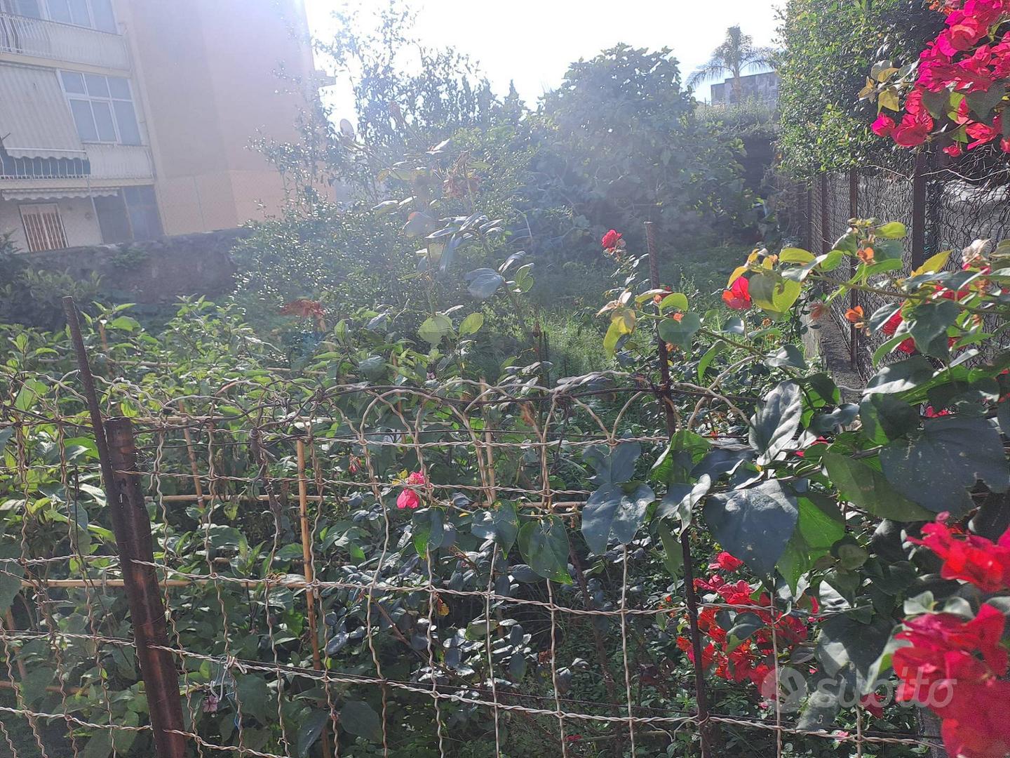 Appartamento – Riposto, Catania - Vista 5