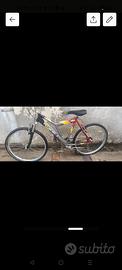 bici Mountain bike 