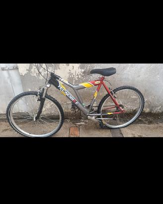 bici Mountain bike 