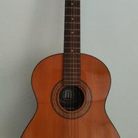 Chitarra acustica