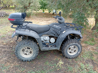 Linhai Quad usata in vendita