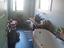 Immagine 12