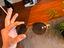 Immagine 4