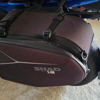 Kit Borse Nc750x + accessori