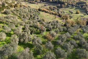 Terreno di 10500 m² a Perdifumo