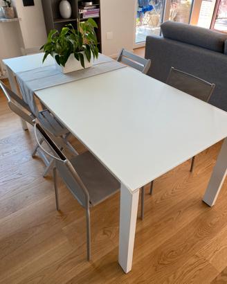 Tavolo Calligaris allungabile Baron