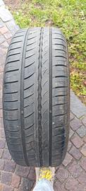 gomme estive