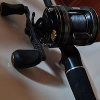 Abu Garcia ambassadeur morrum casting spinning 