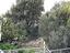 Immagine 6