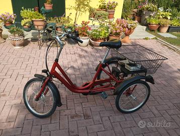 Triciclo adulto