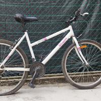 Mountain bike ragazza