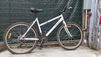 Mountain bike ragazza