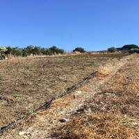 Terreno, Santa Flavia.