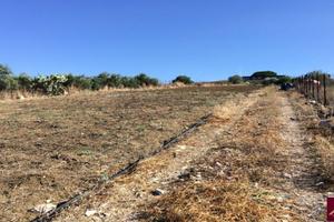 Terreno, Santa Flavia.