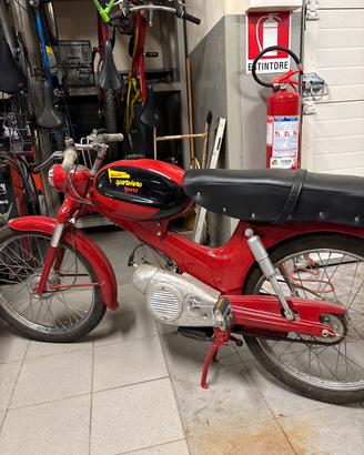 Bici Bianchi Sparviero Sport