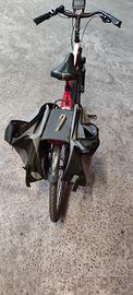 biciclette elettriche