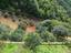 Immagine 29