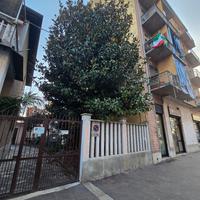  legna gratis a Torino,  Albero gratis 