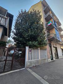  legna gratis a Torino,  Albero gratis 
