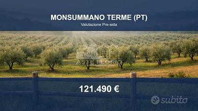 Immobile in asta di 185 m² a Monsummano Terme